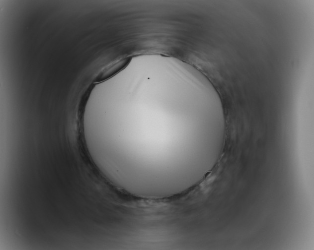 X0000089720338200707121435