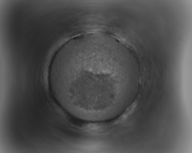 X0000089720341200707121435