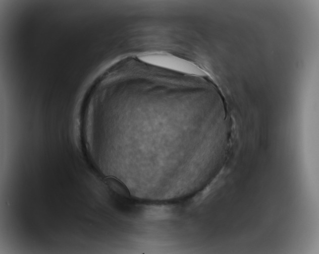 X0000089720342200707121435