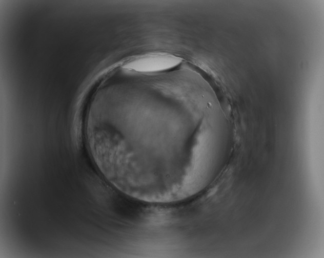 X0000089720343200707121435