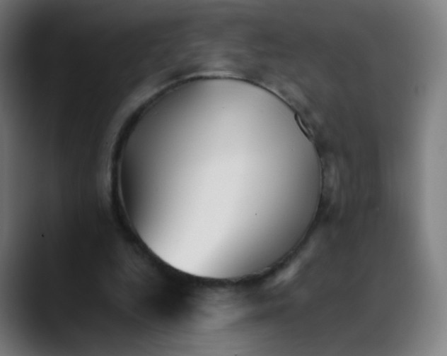 X0000089720344200707121435