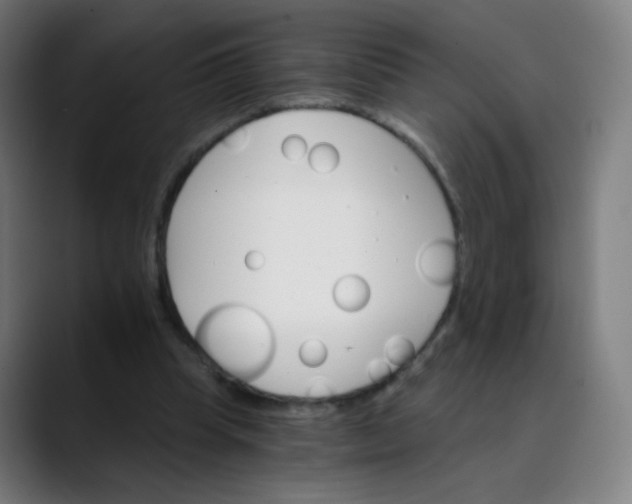 X0000089720345200707121435