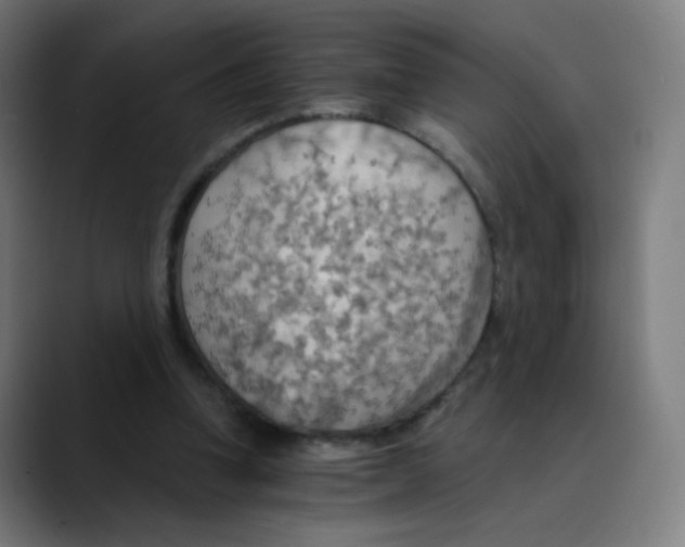 X0000089720346200707121435