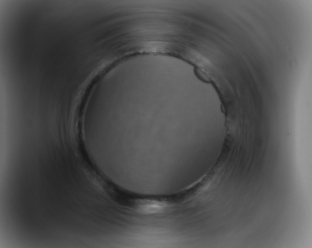 X0000089720347200707121435