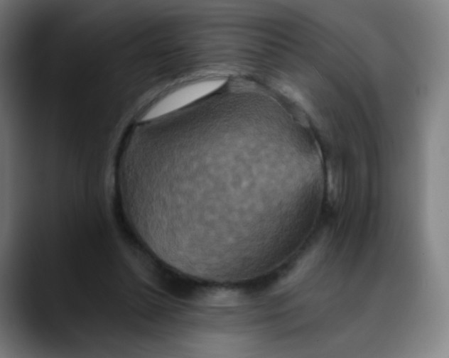 X0000089720348200707121435