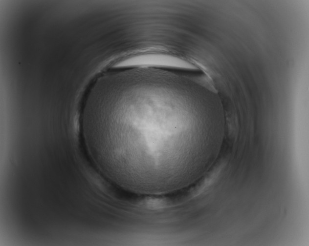 X0000089720350200707121435