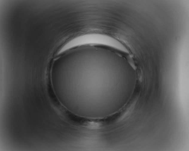 X0000089720352200707121435