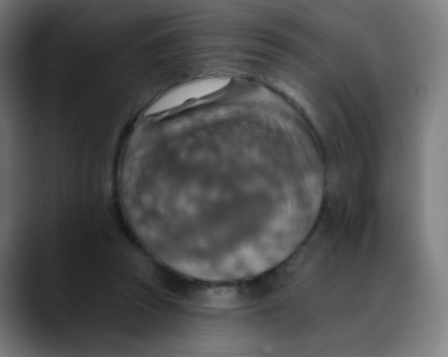 X0000089720353200707121435