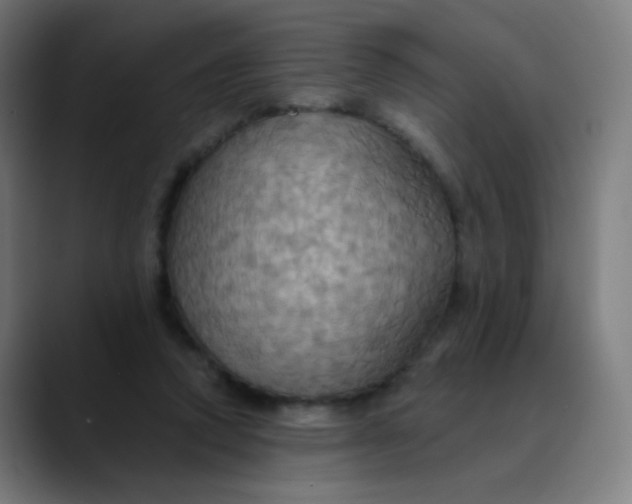 X0000089720354200707121435