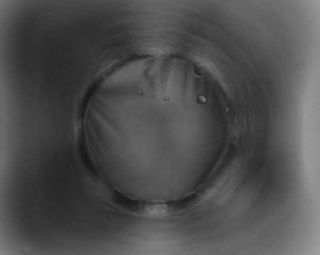 X0000089720355200707121435