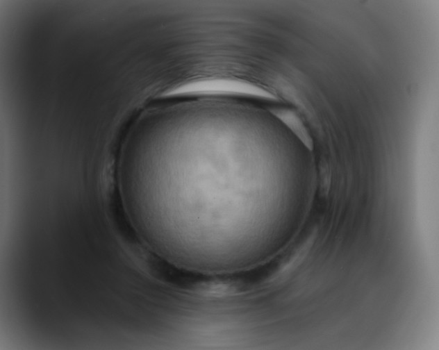 X0000089720356200707121435