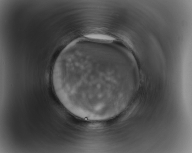 X0000089720357200707121435