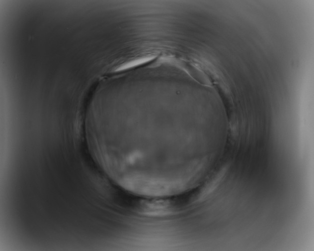 X0000089720359200707121435