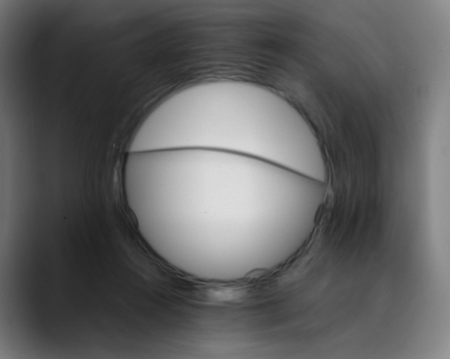 X0000089720360200707121435