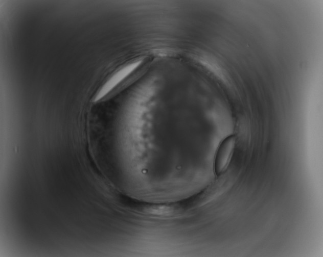 X0000089720361200707121435