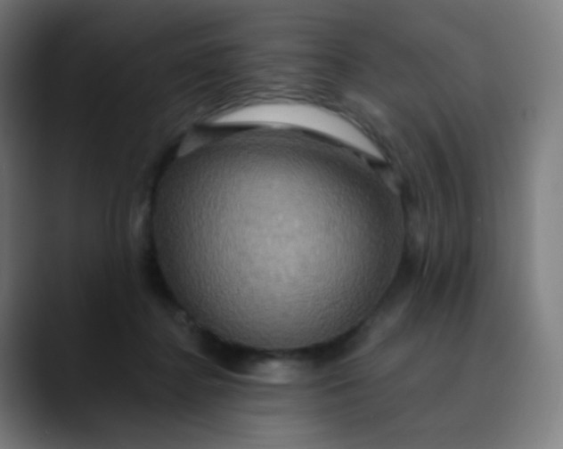 X0000089720364200707121435