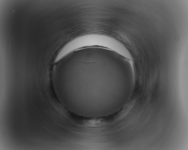 X0000089720366200707121435