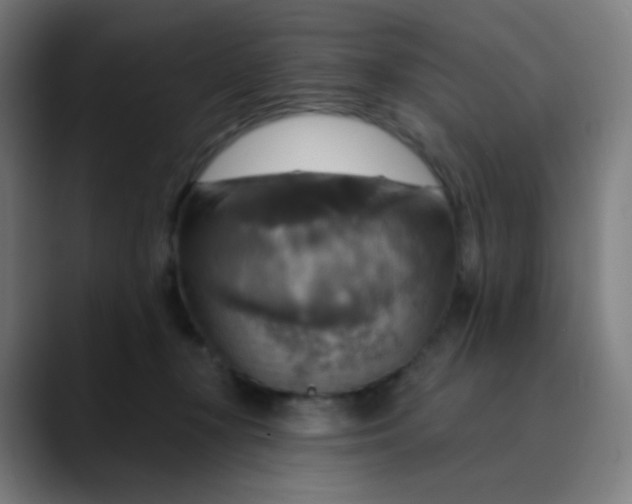 X0000089720367200707121435