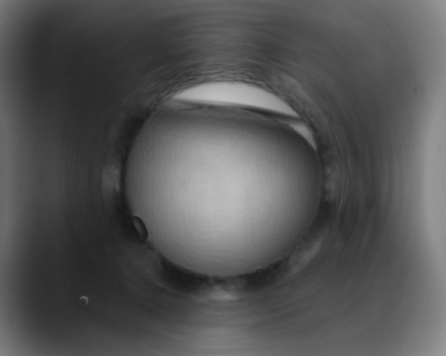 X0000089720368200707121435