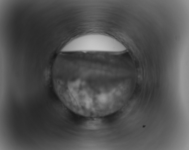 X0000089720369200707121435