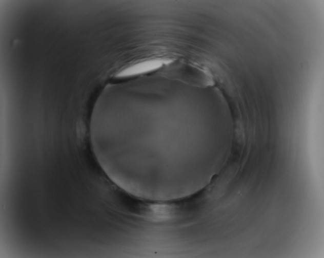 X0000089720371200707121435