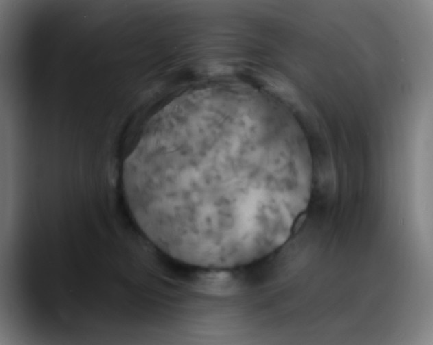 X0000089720374200707121435