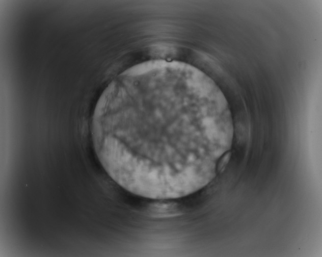 X0000089720375200707121435