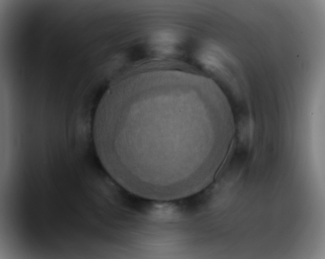 X0000089720376200707121435