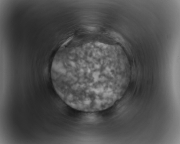 X0000089720377200707121435