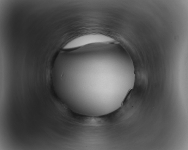 X0000089720379200707121435