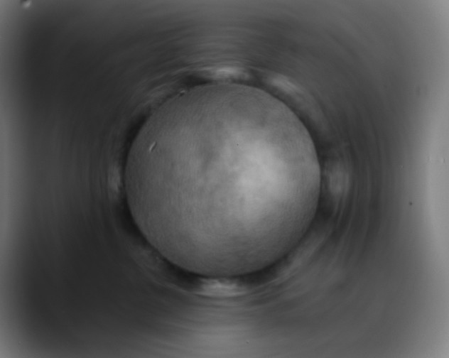 X0000089720380200707121435