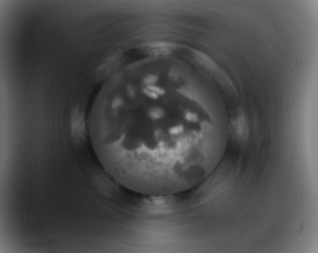 X0000089720381200707121435