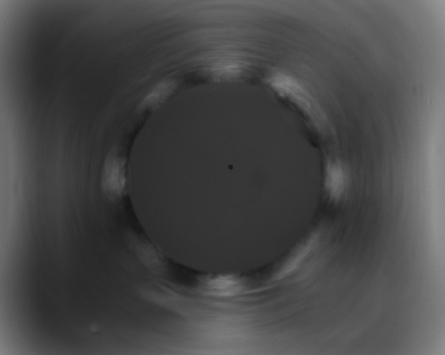 X0000089720383200707121435