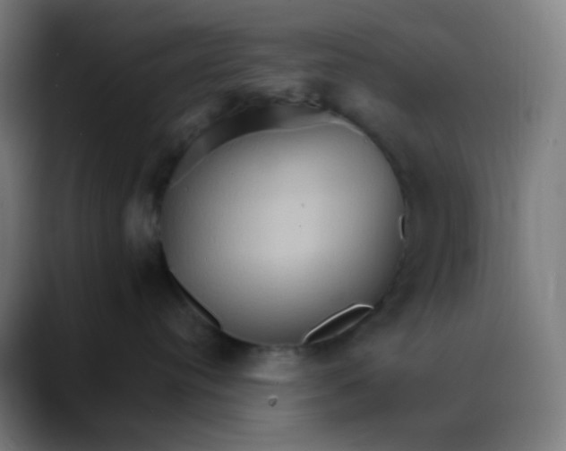 X0000089720384200707121435