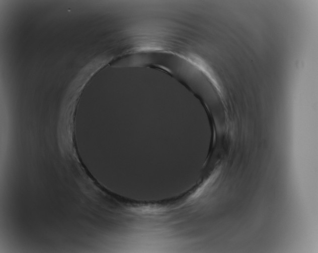 X0000089720385200707121435