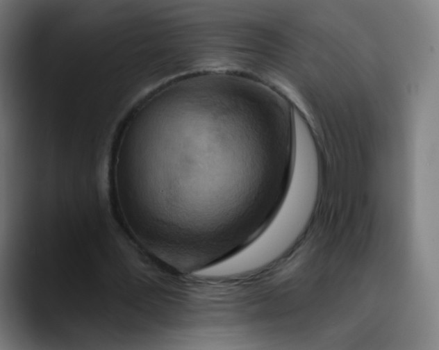 X0000089720387200707121435