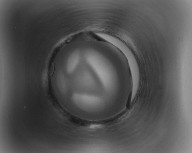 X0000089720388200707121435