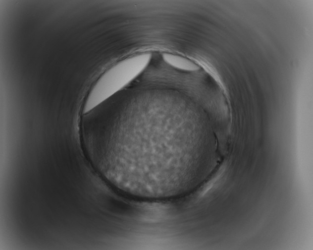 X0000089720389200707121435