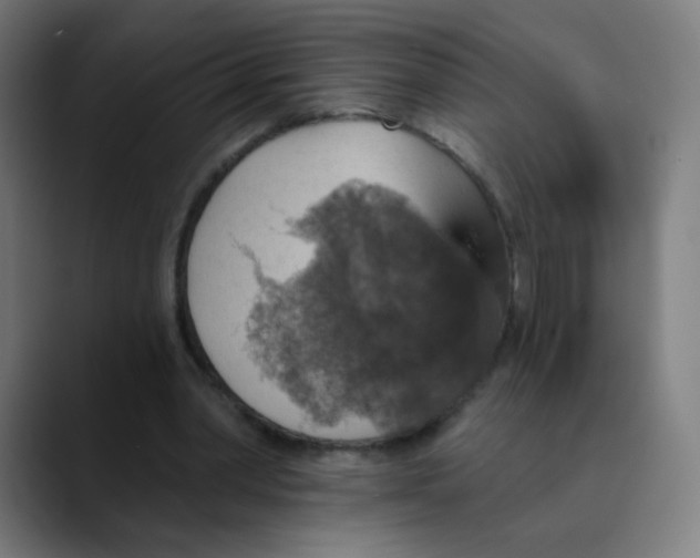 X0000089720390200707121435