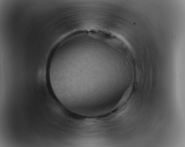 X0000089720391200707121435