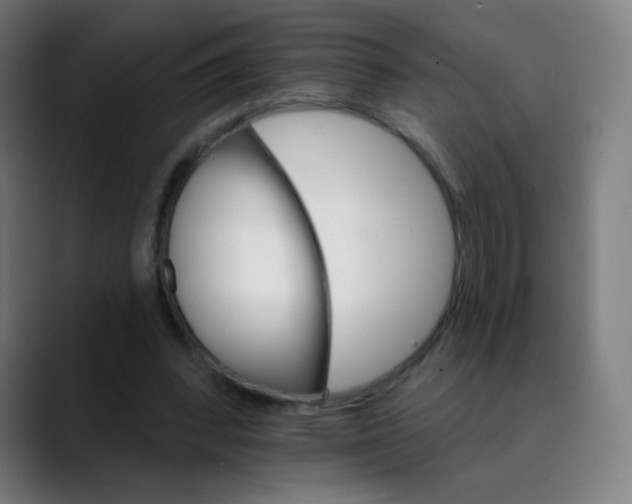 X0000089720392200707121435