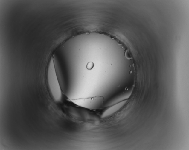 X0000089720393200707121435