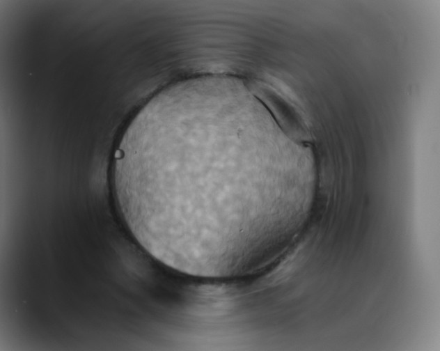 X0000089720394200707121435