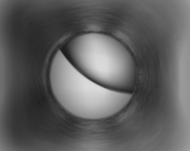 X0000089720395200707121435