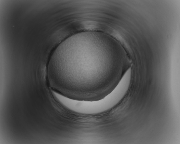 X0000089720397200707121435