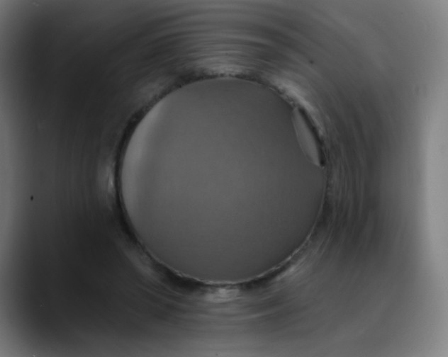 X0000089720398200707121434