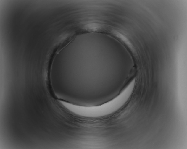 X0000089720399200707121434