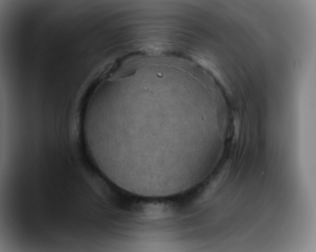 X0000089720400200707121434