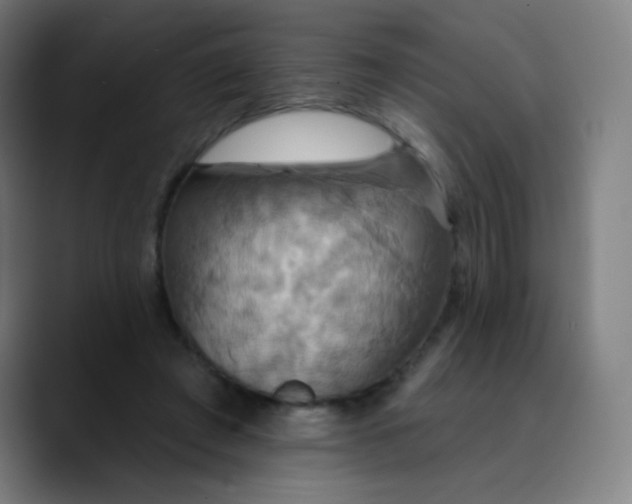 X0000089720401200707121434