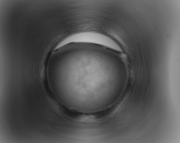 X0000089720403200707121434